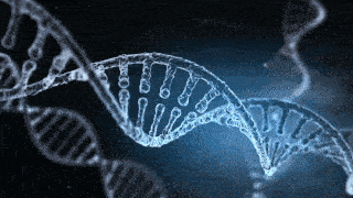 acdccade318147be90519ee75bc16213.gif acdccade318147be90519ee75bc16213.gif
