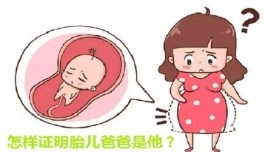 胎儿鉴定.jpg 胎儿鉴定.jpg